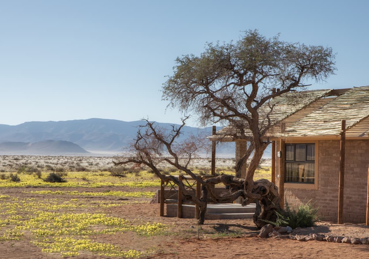 Desert camp exterior of accommodation 1280