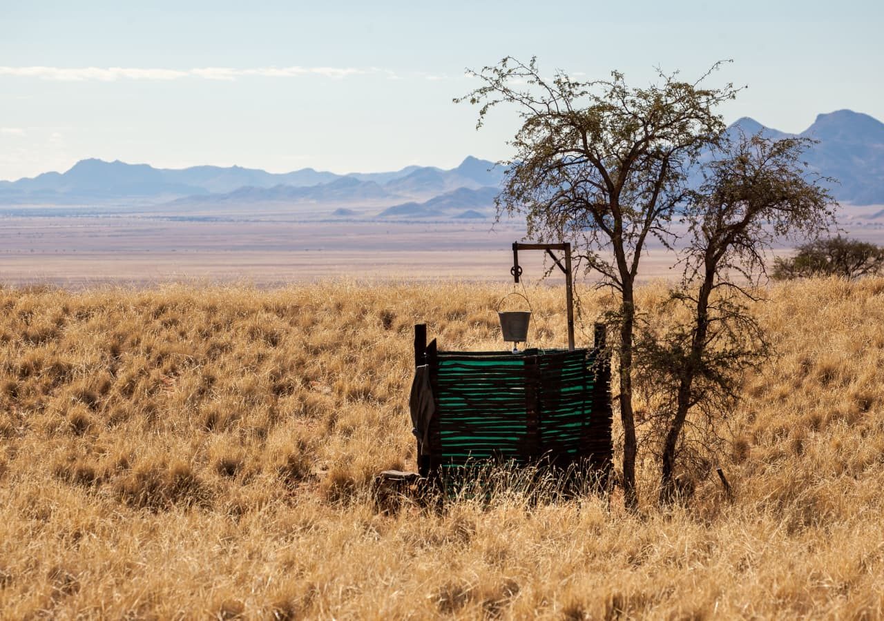 Tok tokkie trails bucket shower 1280