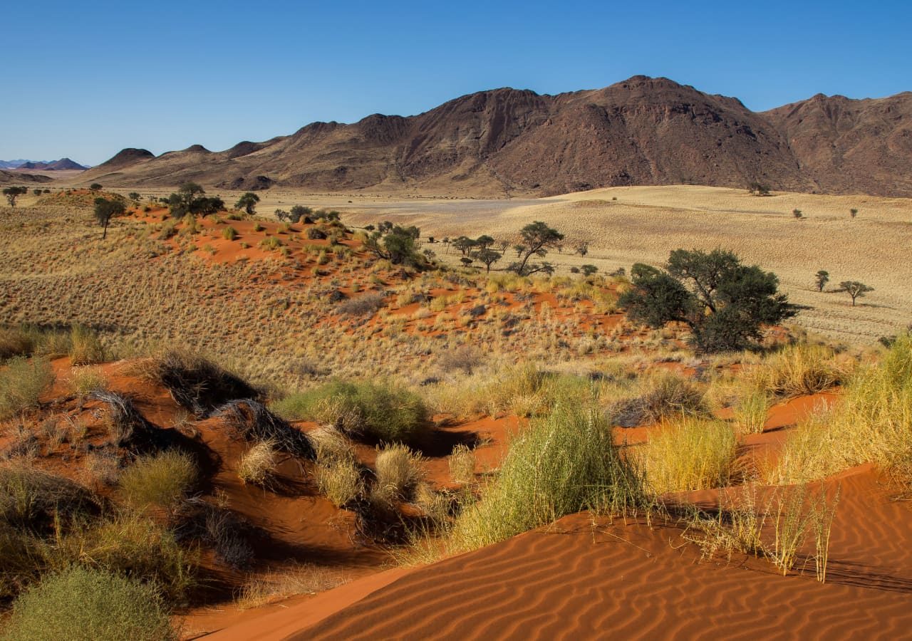 Tok tokkie trails desert landscape 1280