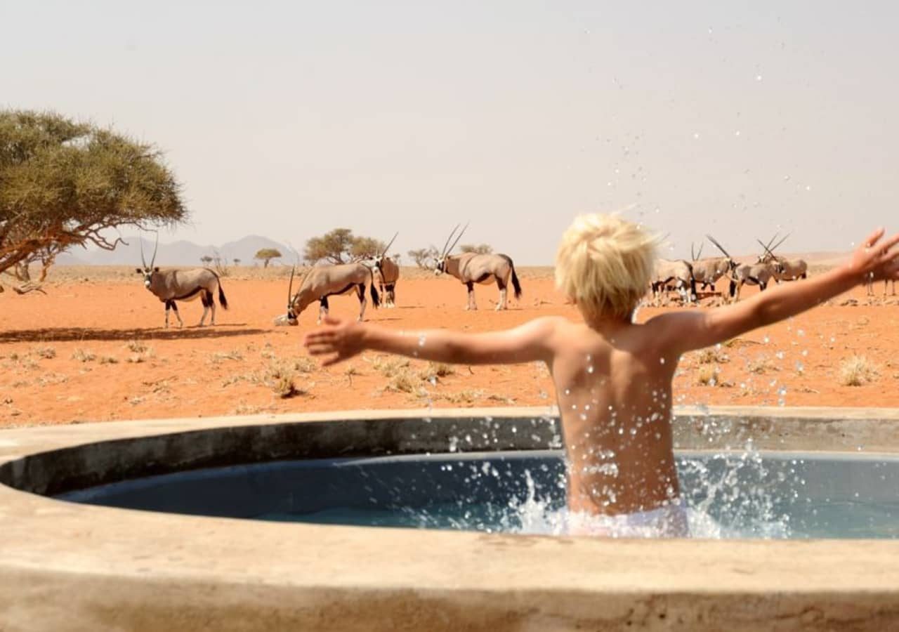 Wolwedans plains camp game viewing from the pool 1280