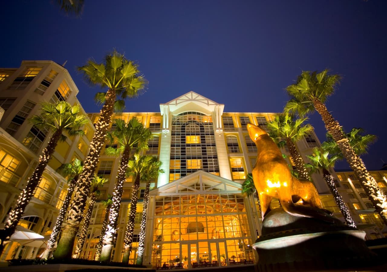 The table bay hotel exterior at night with oscar the seal 1280