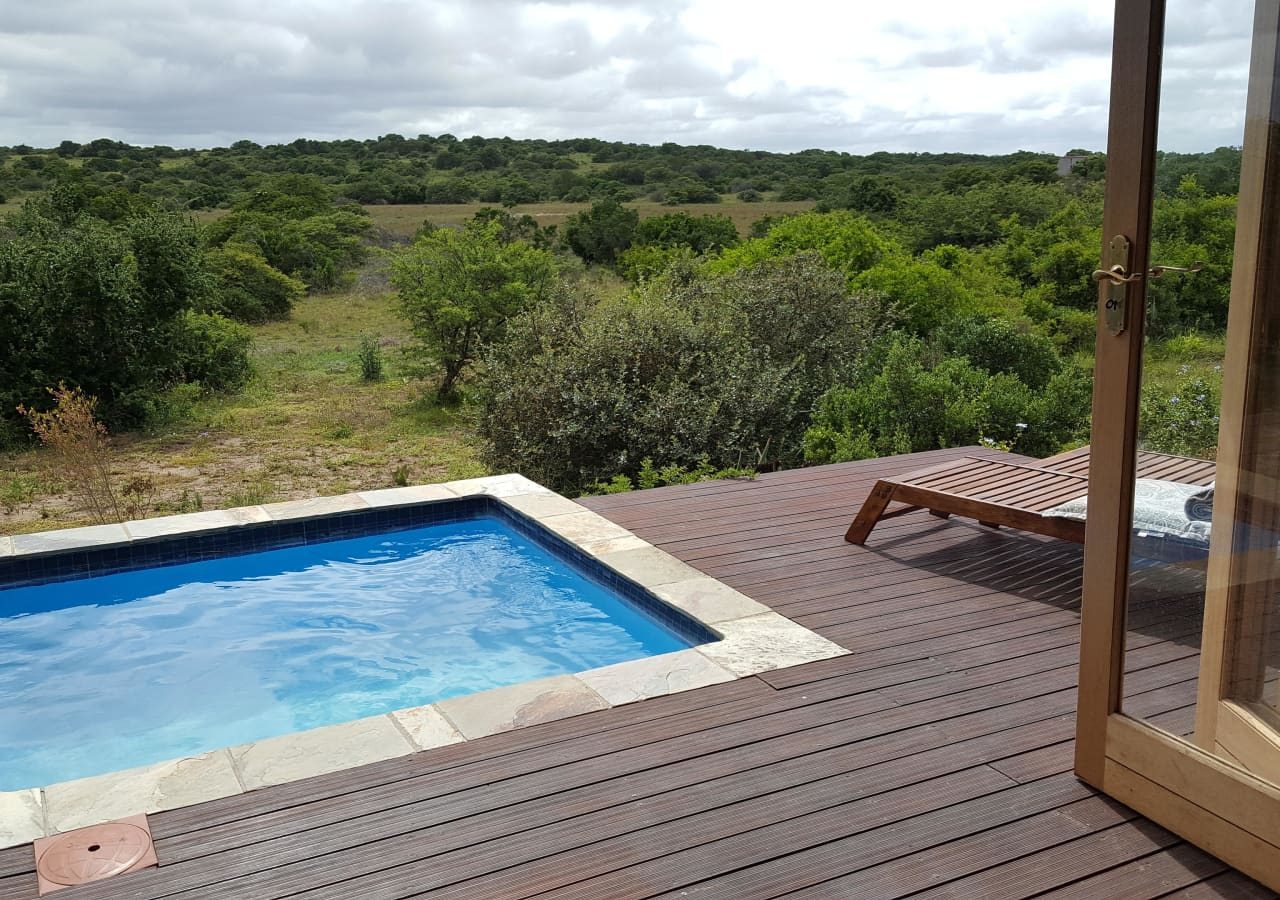 Amakhala bush lodge guest pool and verandah 1280