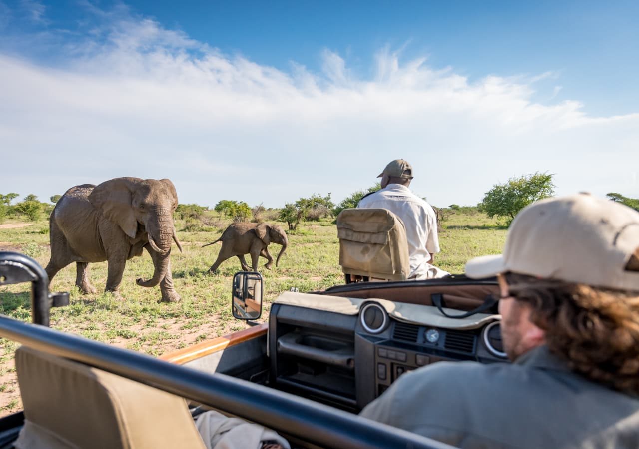 Kambaku safari lodge elephant game drive 1280