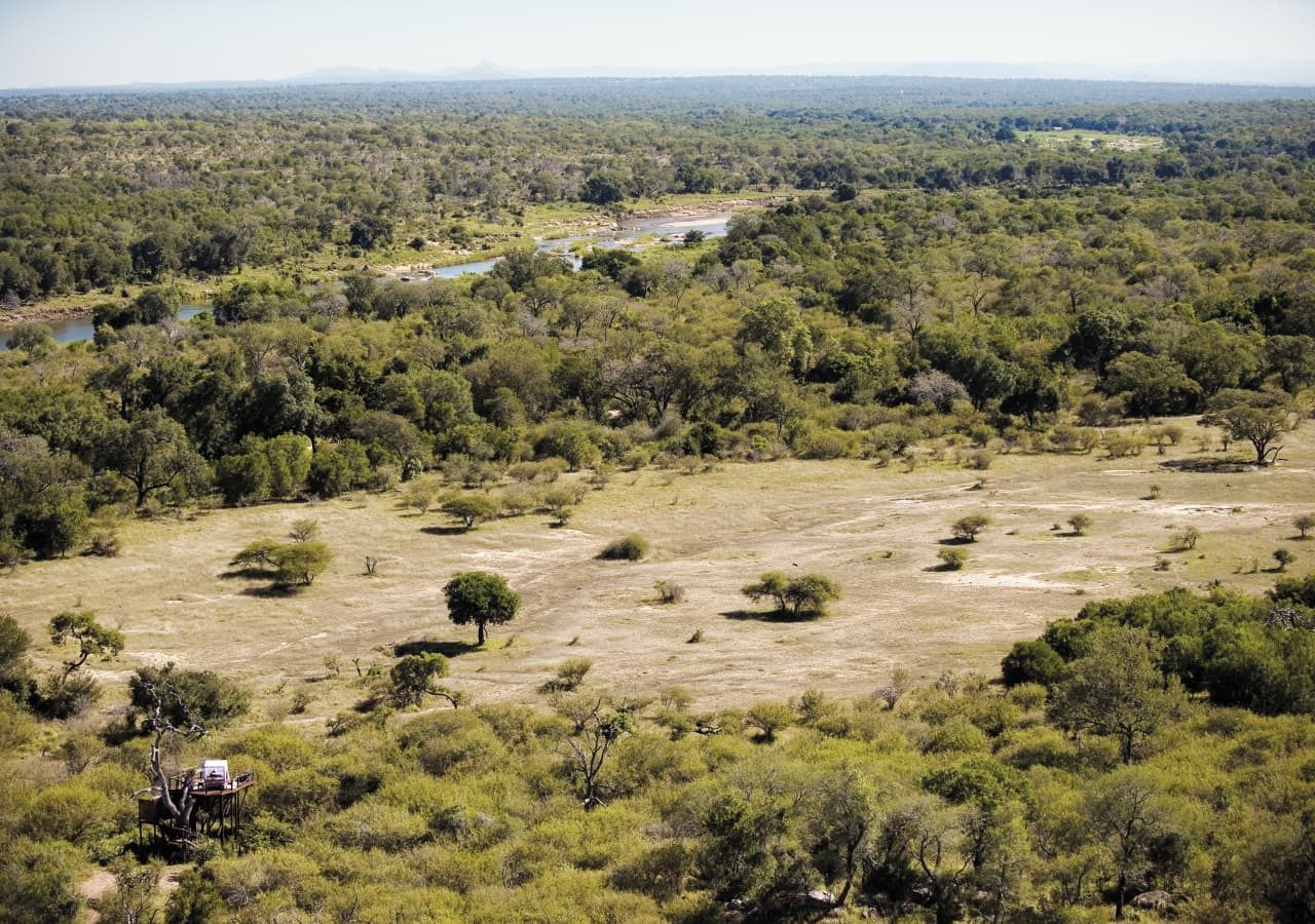 Lion sands chalkley treehouse aerial view of the treehouse 1280