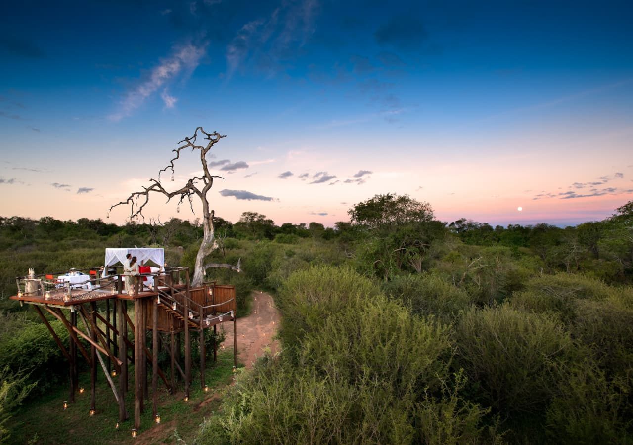 Lion sands chalkley treehouse exterior views of the treehouse 1280