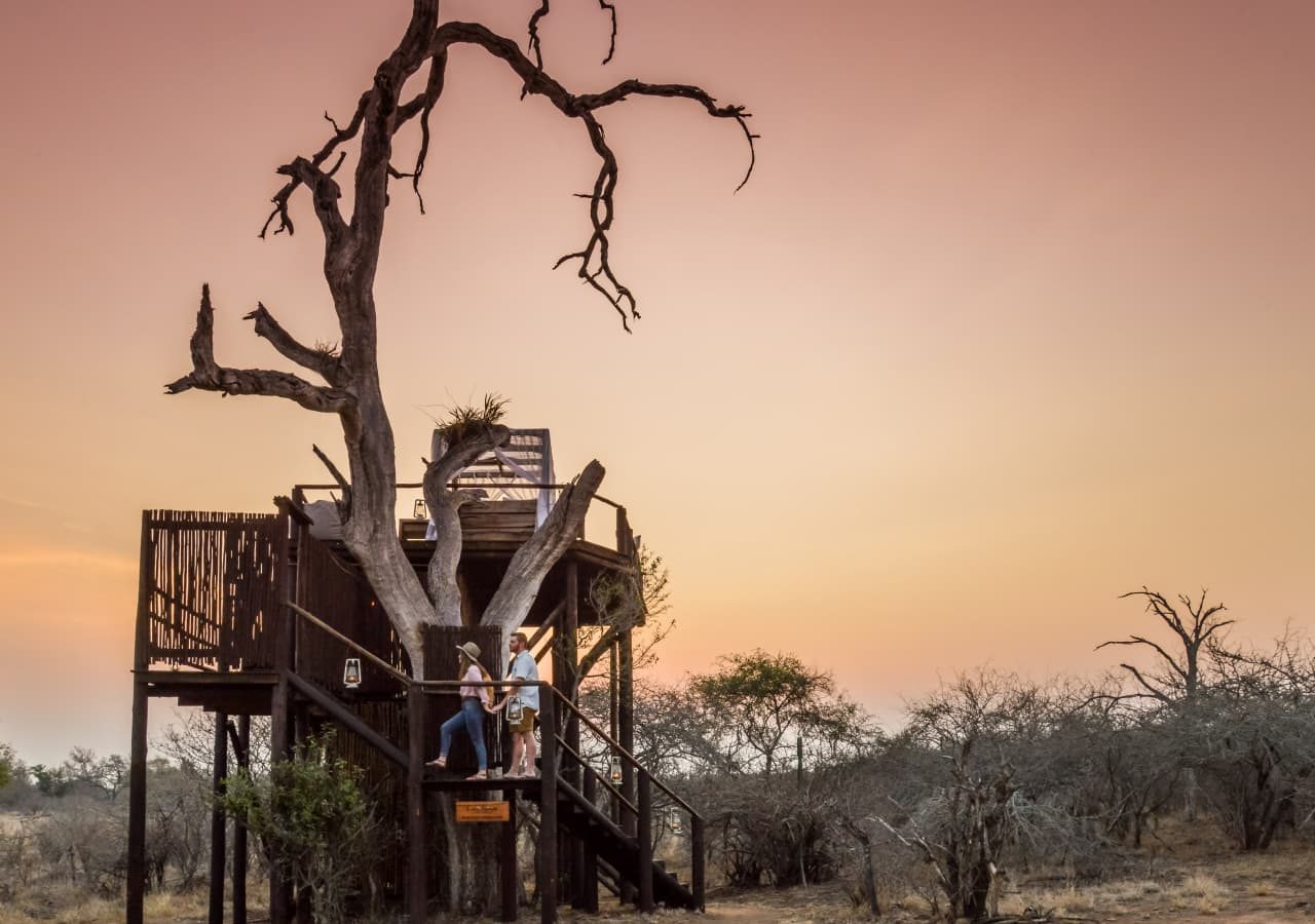 Lion sands chalkley treehouse treehouse exterior view 1280