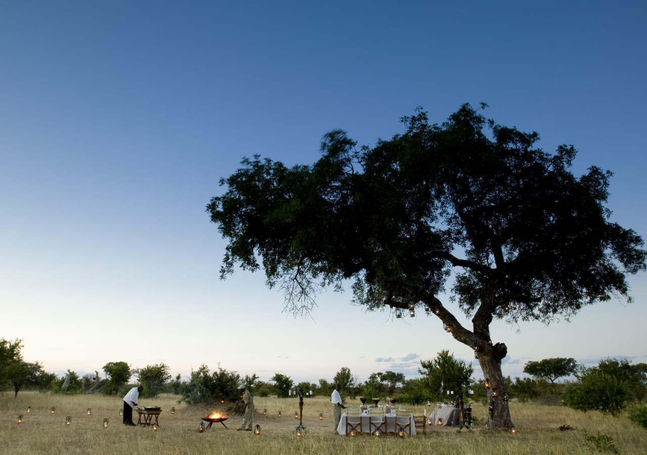 Ngala safari lodge bush dining experience 1280