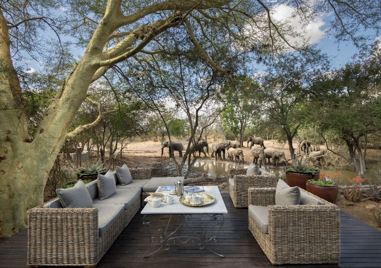 Ngala safari lodge elephants walking by the deck 1280