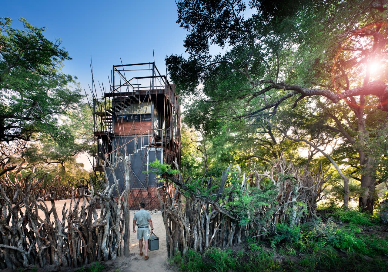 Ngala treehouse entrance to the treehouse 1280