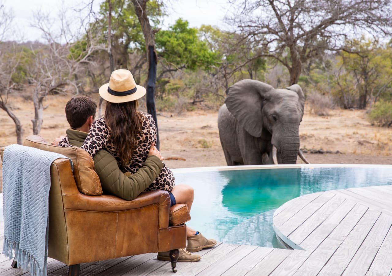 Siviti elephants at the swimming pool 1280