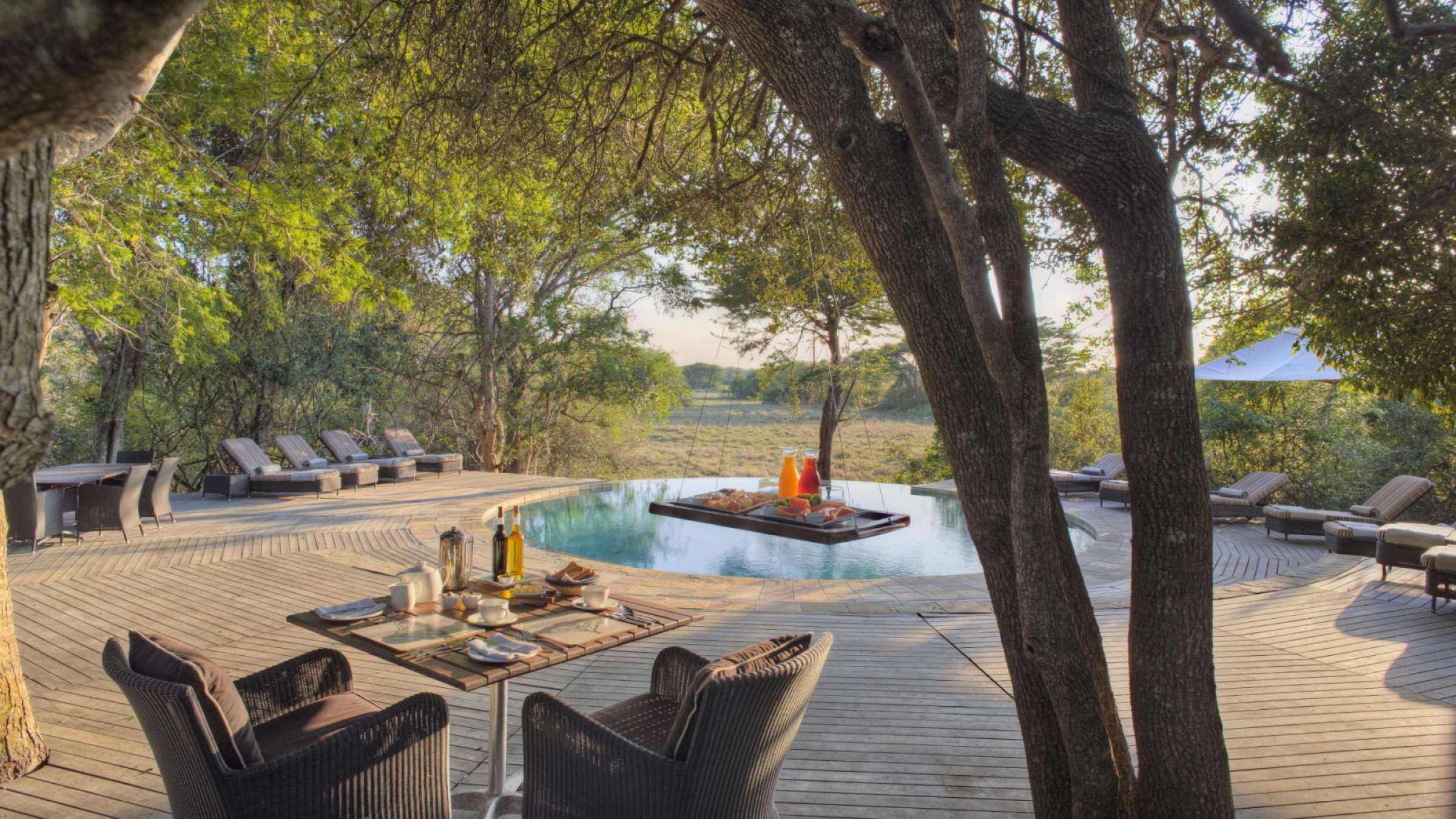 Phinda forest lodge swimming pool breakfast 2400