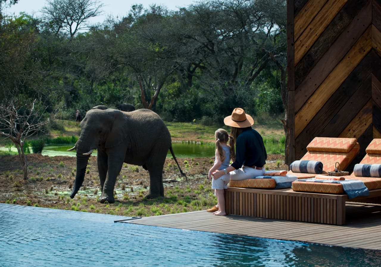 Phinda homestead game viewing from the swimming pool 1280