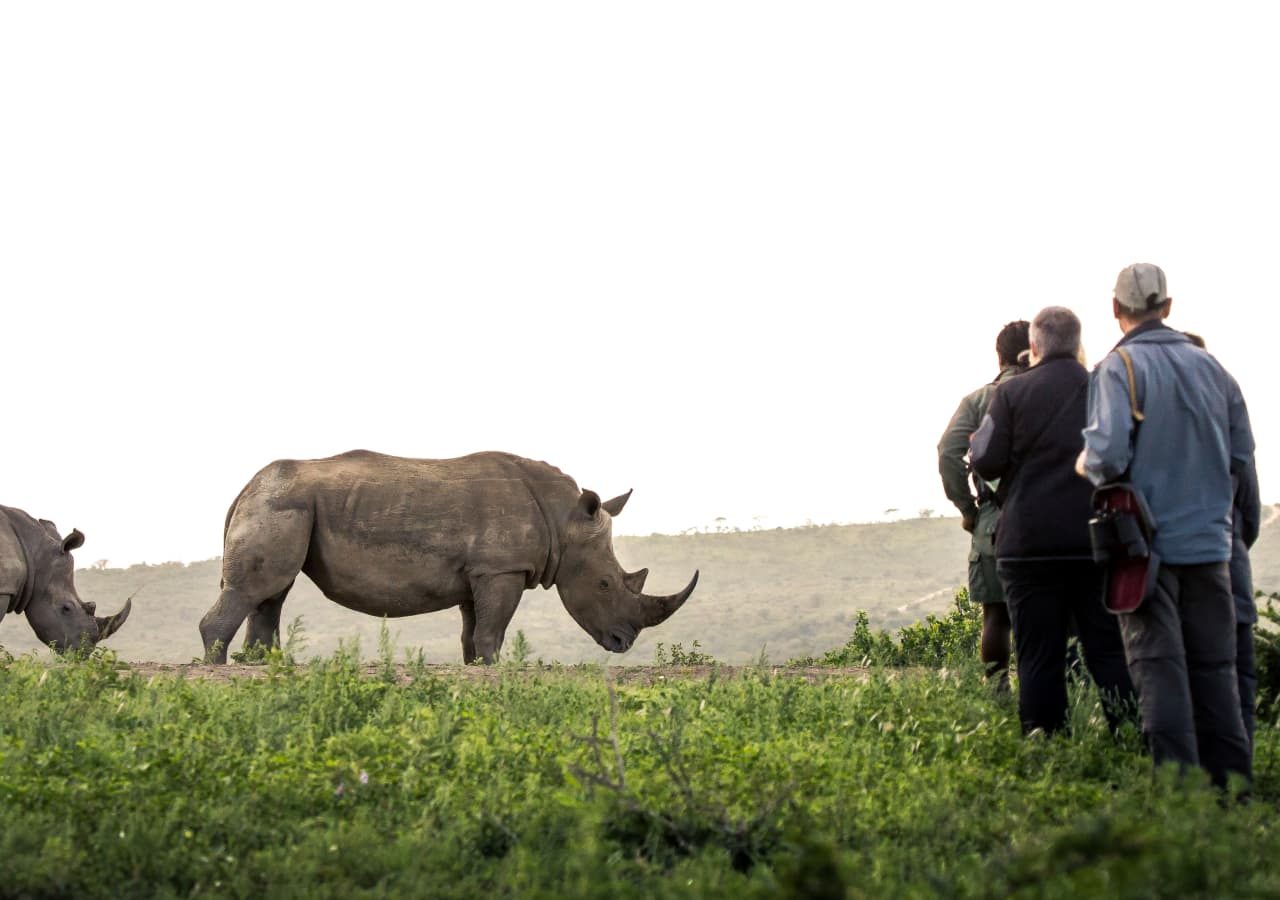 Rhino ridge safari lodge isibindi trails game viewing 1280