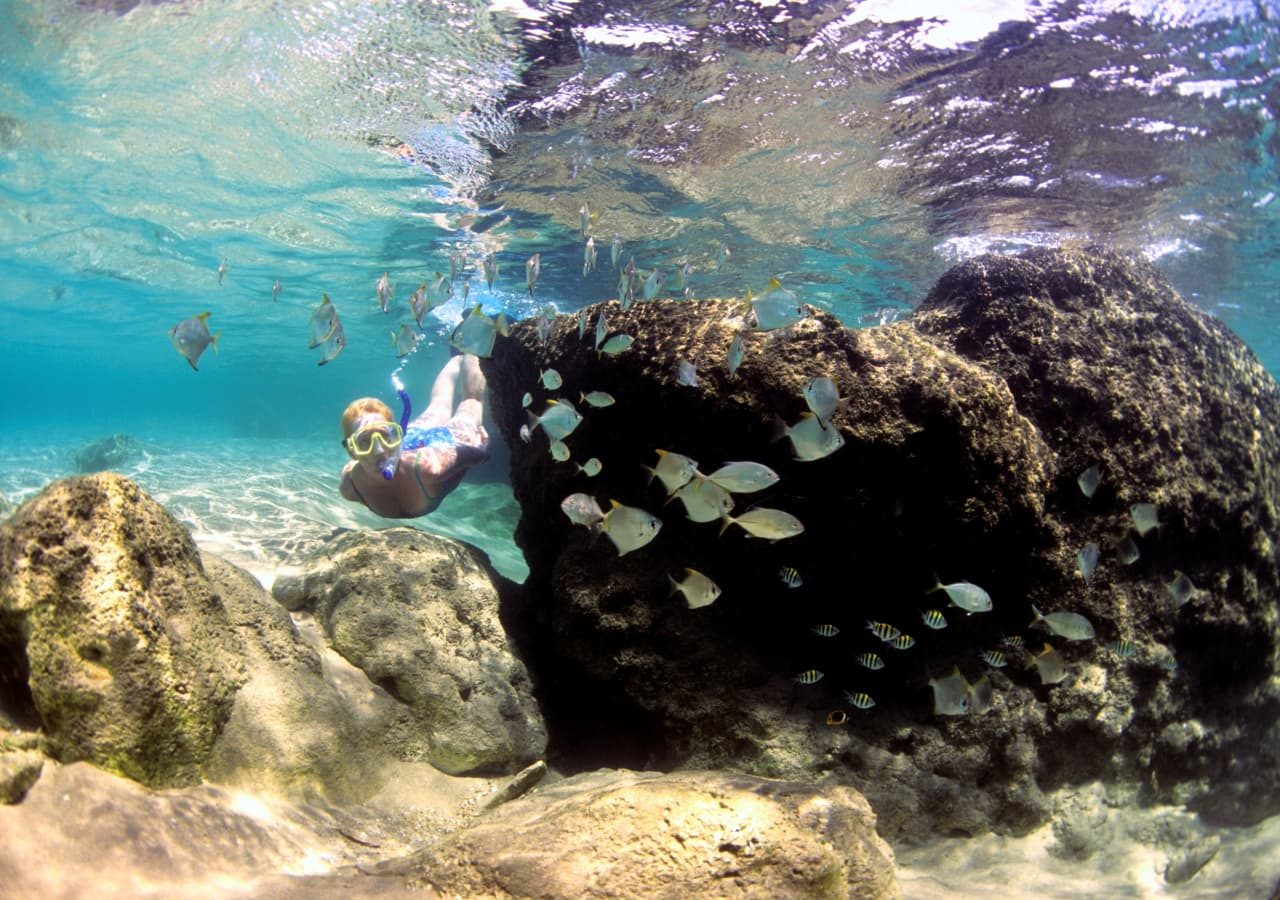 Thonga beach lodge snorkelling experience 1280