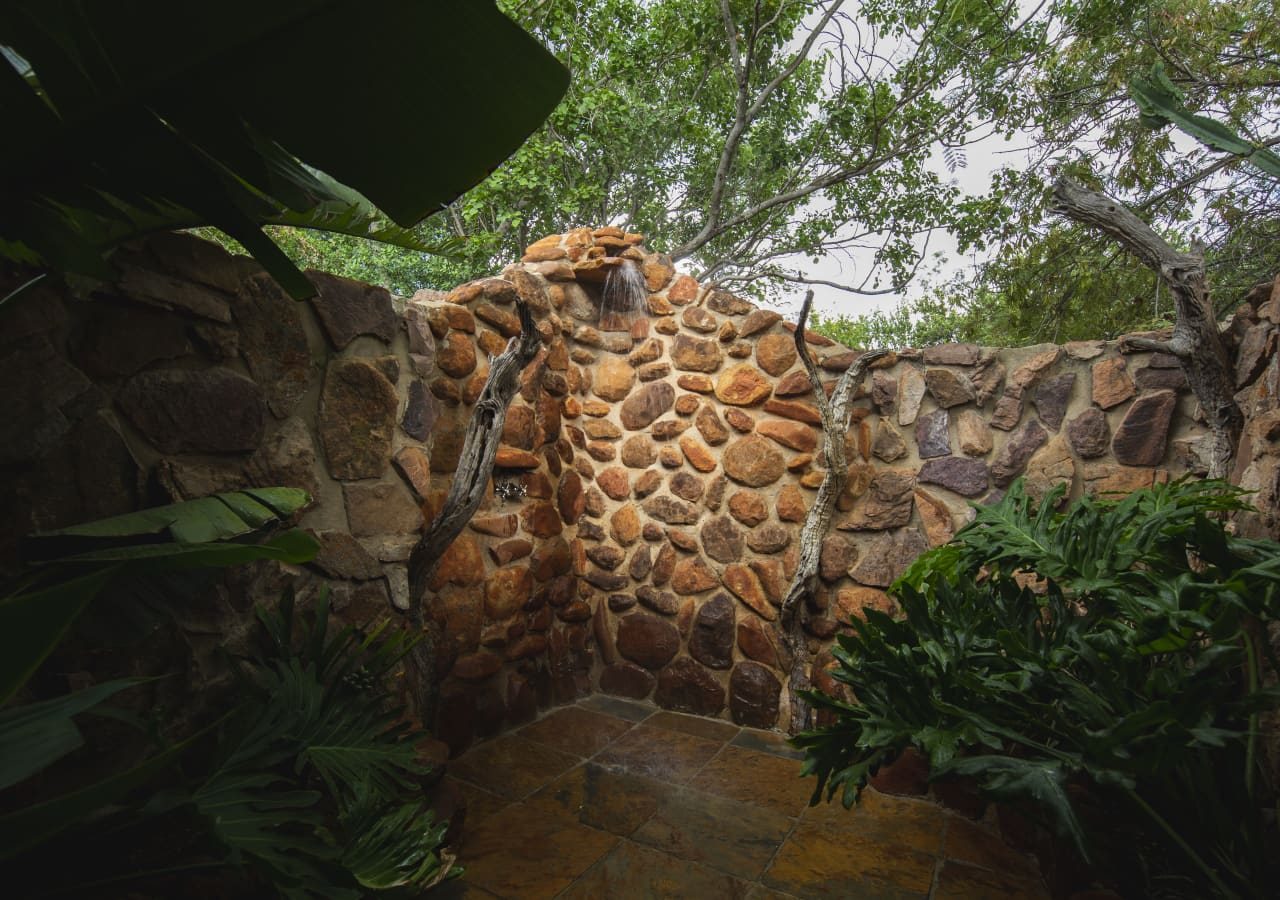 Ants nest outdoor shower by teagan cunniffe 1280