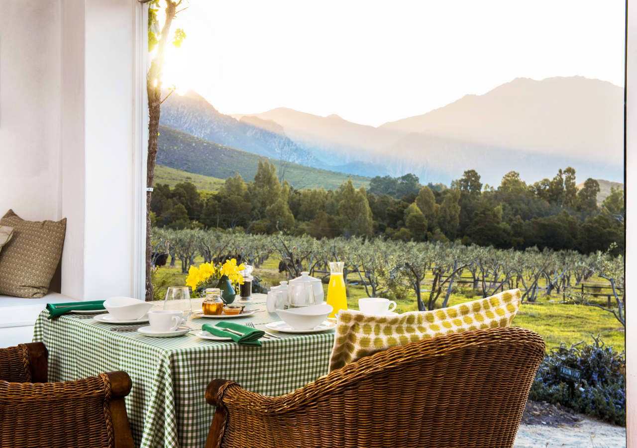 Galenia estate breakfast with a view of the olive groves 1280