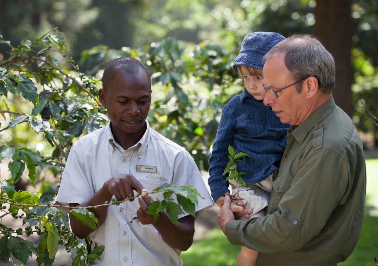 Arusha coffee lodge coffee tour 1280