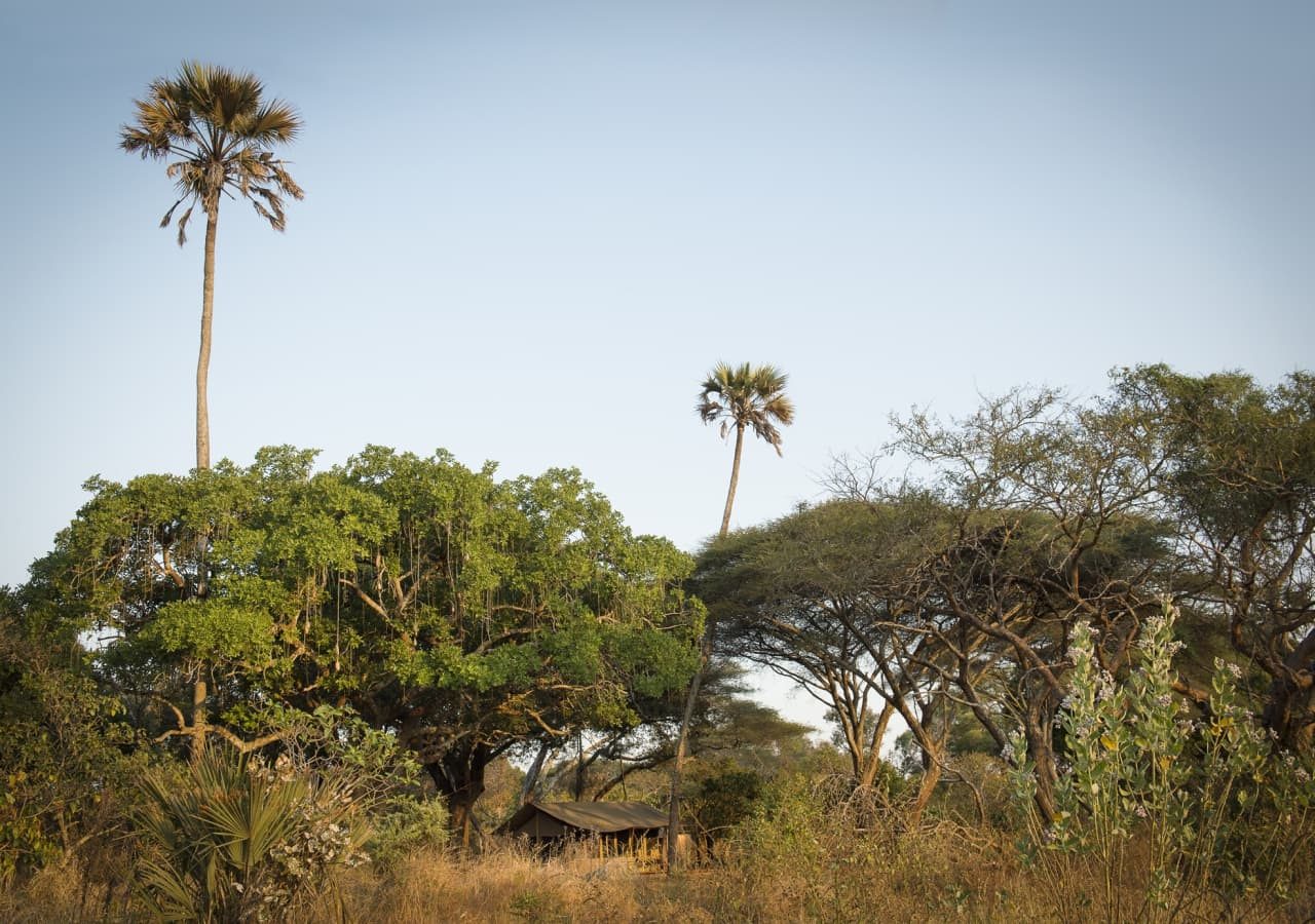 Chada katavi camp setting and landscape 1280