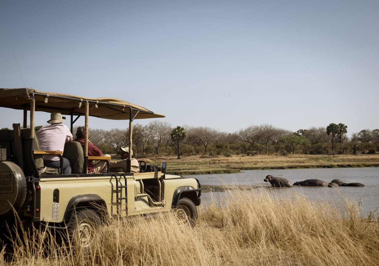 Chada katavi hippo sighting on a game drive 1280