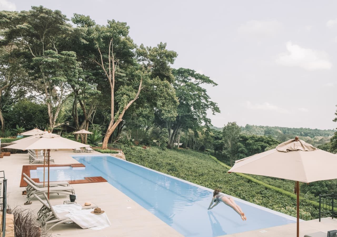 Gibbs farm swimming pool with a view 1280