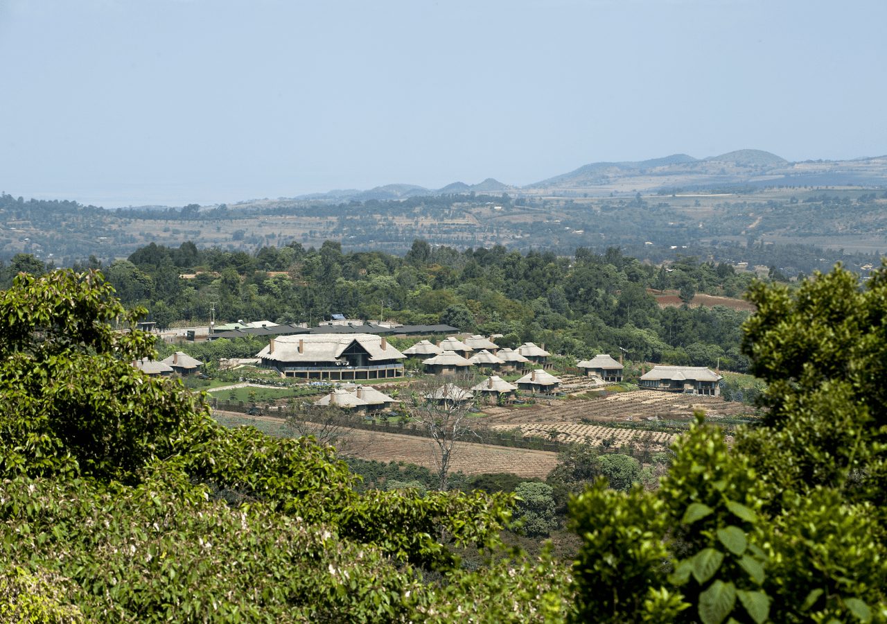 Kitela lodge view from ngorongoro conservation area 1280