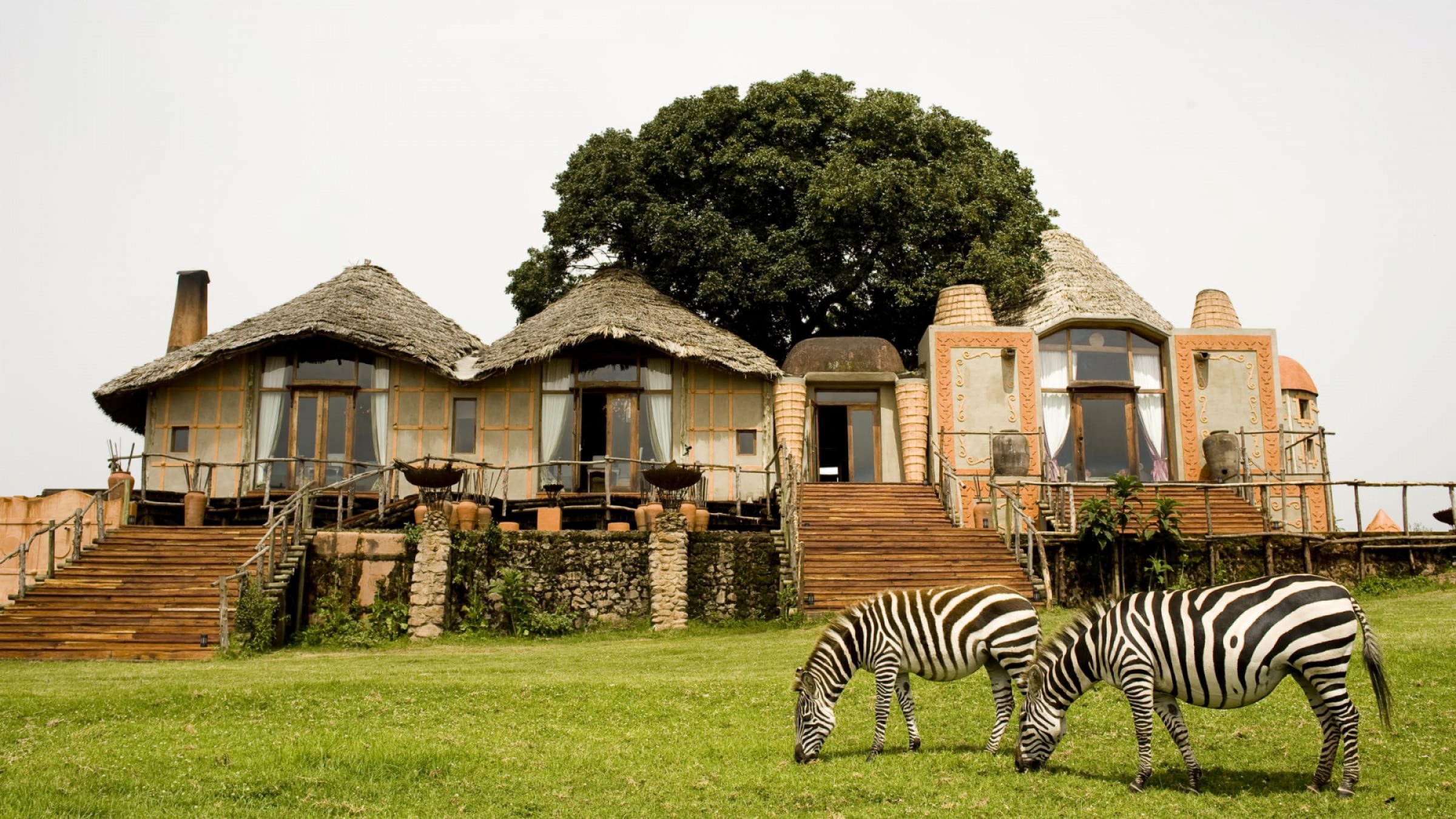 Ngorongoro crater lodge north camp exterior with zebras grazing 2400