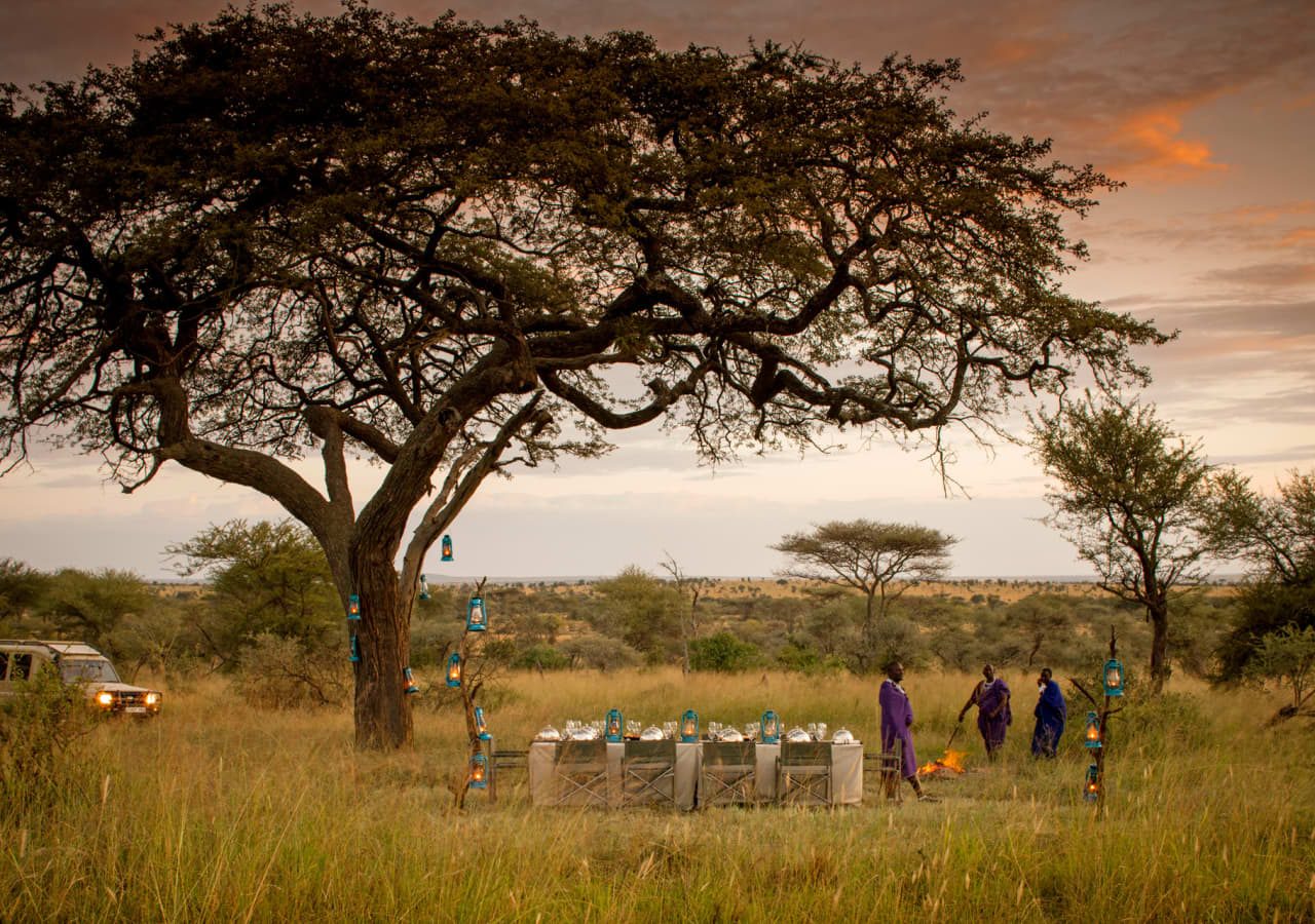 Four seasons safari lodge serengeti bush dinner 1280