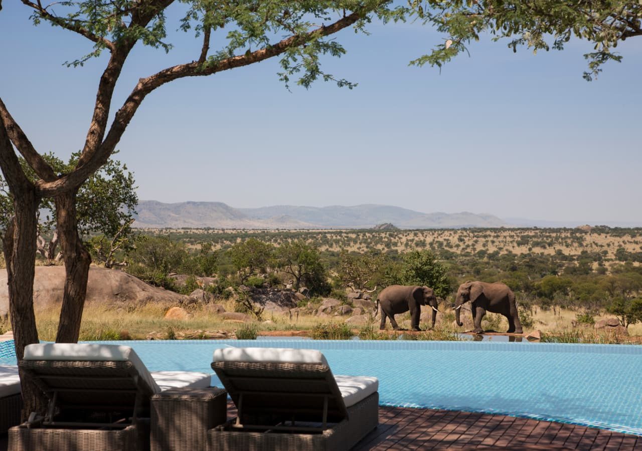 Four seasons safari lodge serengeti swimming pool by the water hole 1280