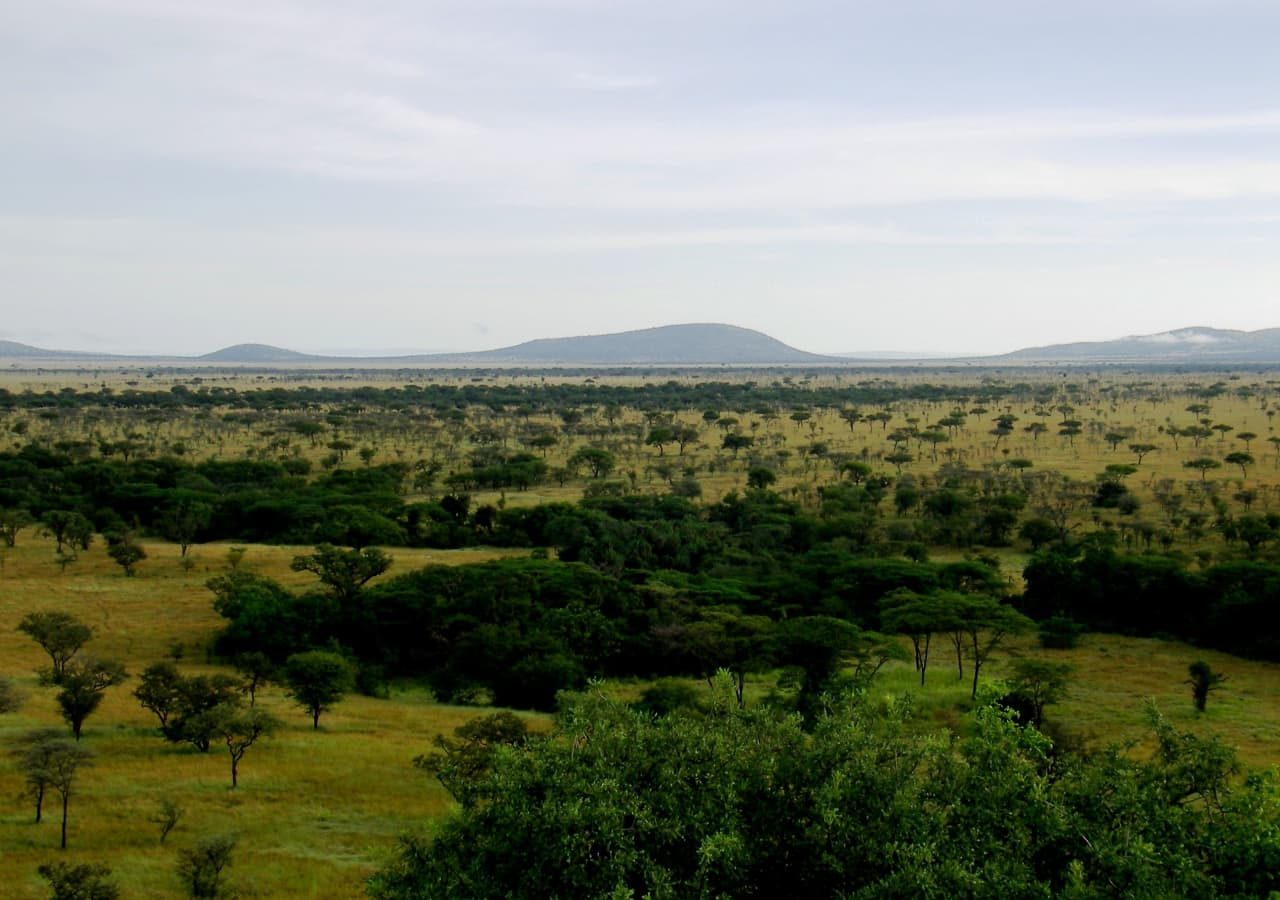 Mbalageti serengeti camp landscape and setting 1280