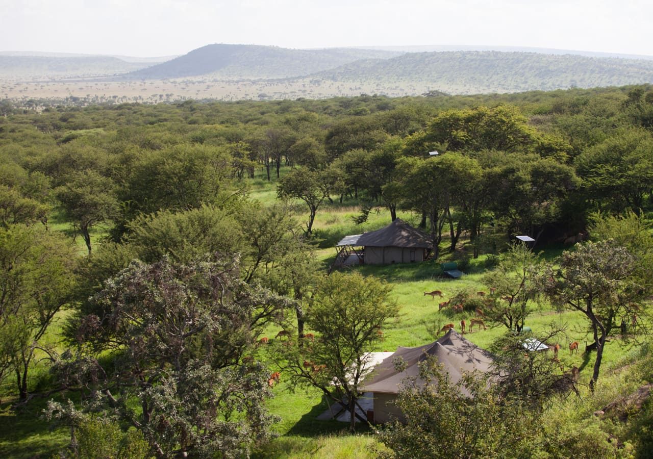 Serengeti pioneer camp camp landscape and setting 1280