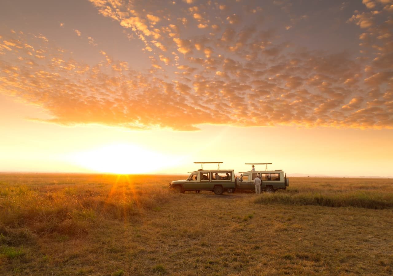 Serengeti safari camp serengeti game drive 1280