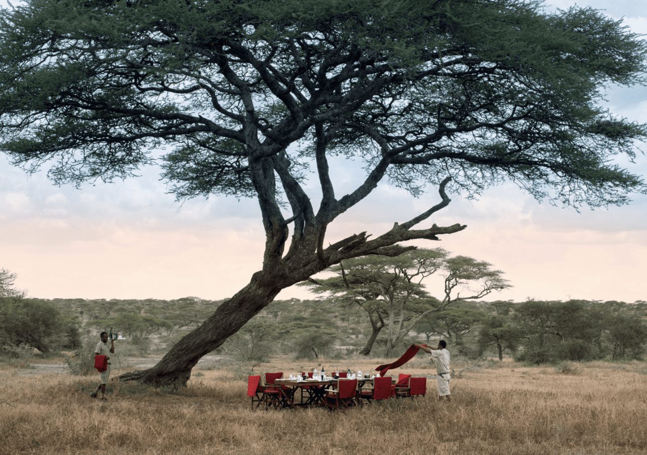 Serengeti under canvas bush lunch experience 1280