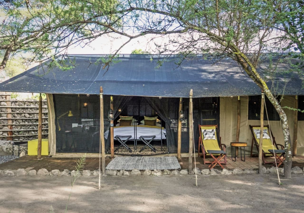 Forest chem chem vintage tent exterior 1280