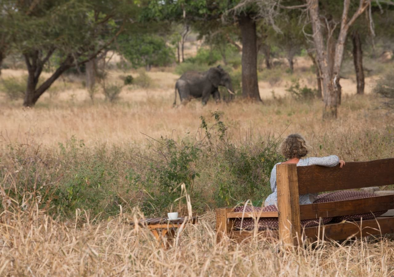 Kuro tarangire morning coffee and elephant sighting 1280