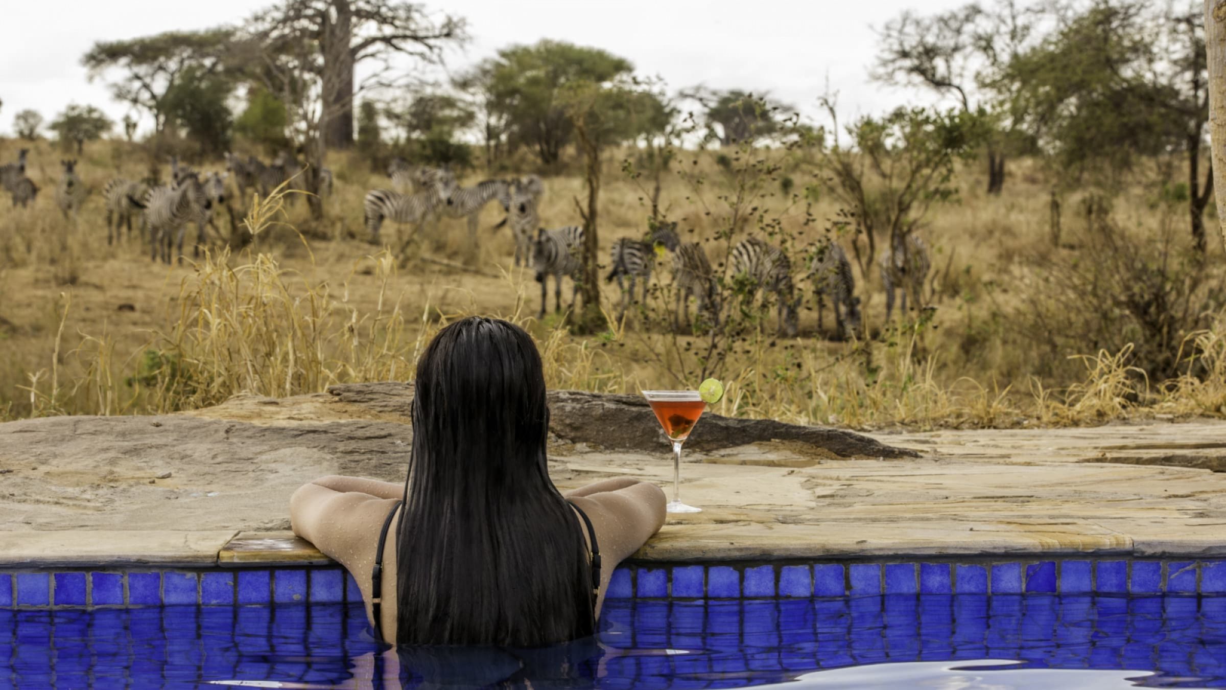 Nimali tarangire watching zebras from the pool 2400