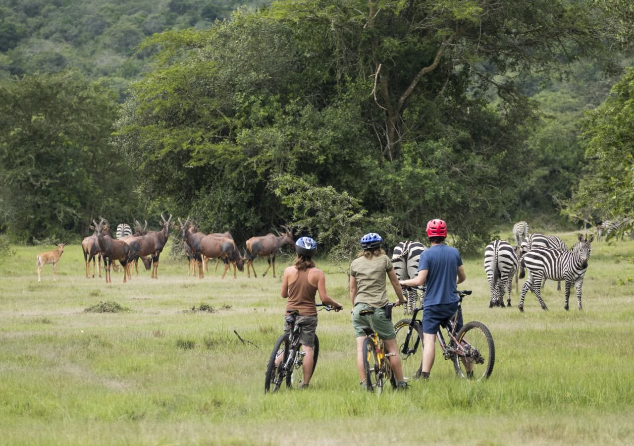 Mihingo lodge bike safari 1280