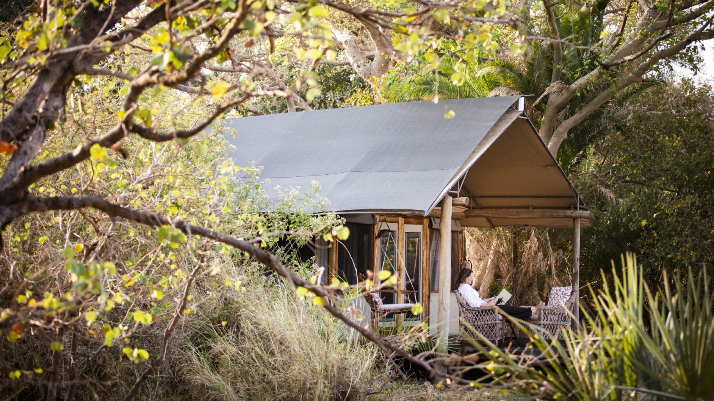 Busanga bush camp standard tent exterior and setting 2400