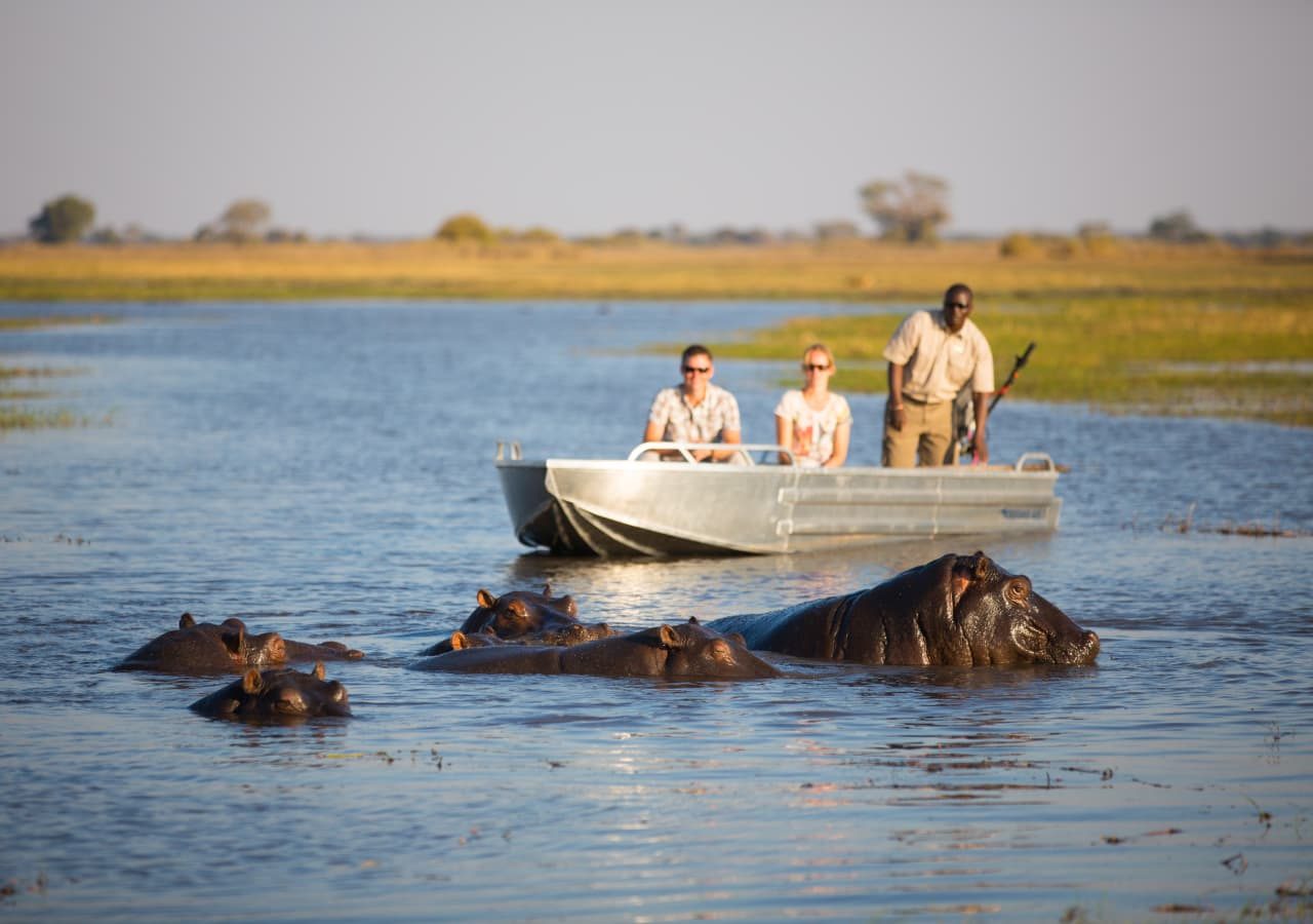 Shumba camp boat safari with a hippo sighting 1280