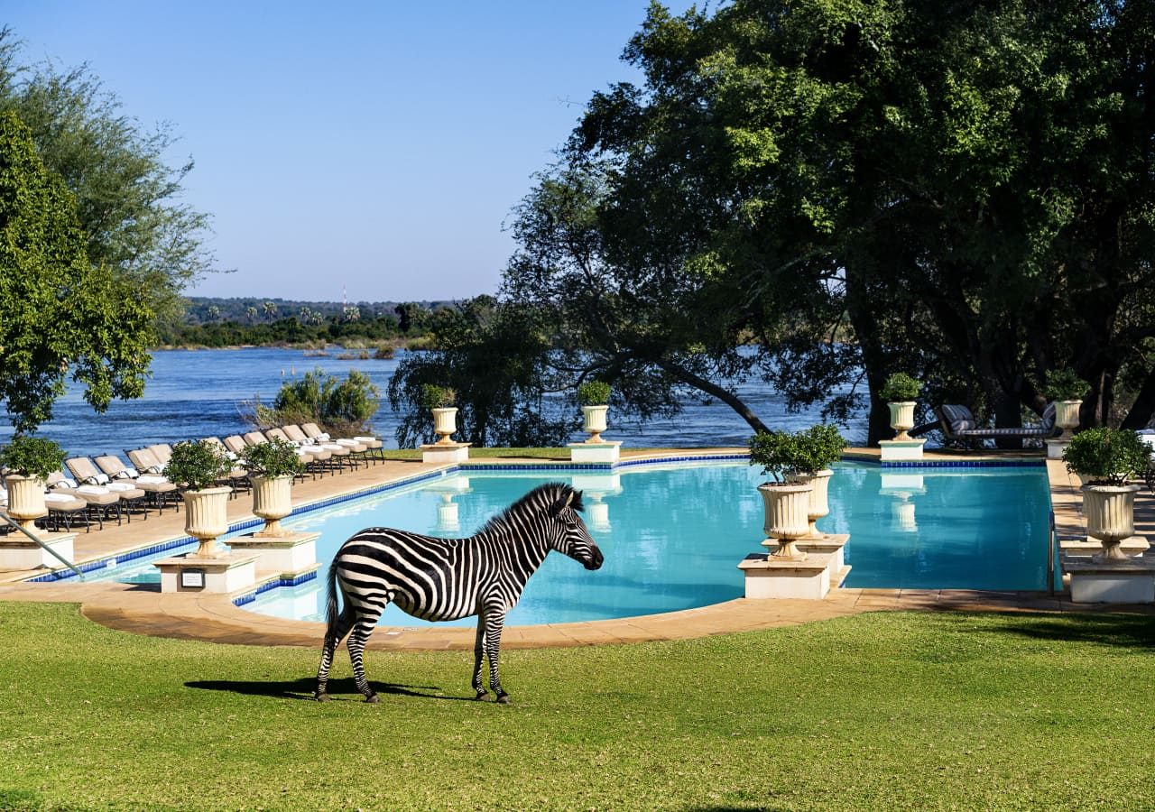 The royal livingstone hotel by anantara zebra by the pool 1280