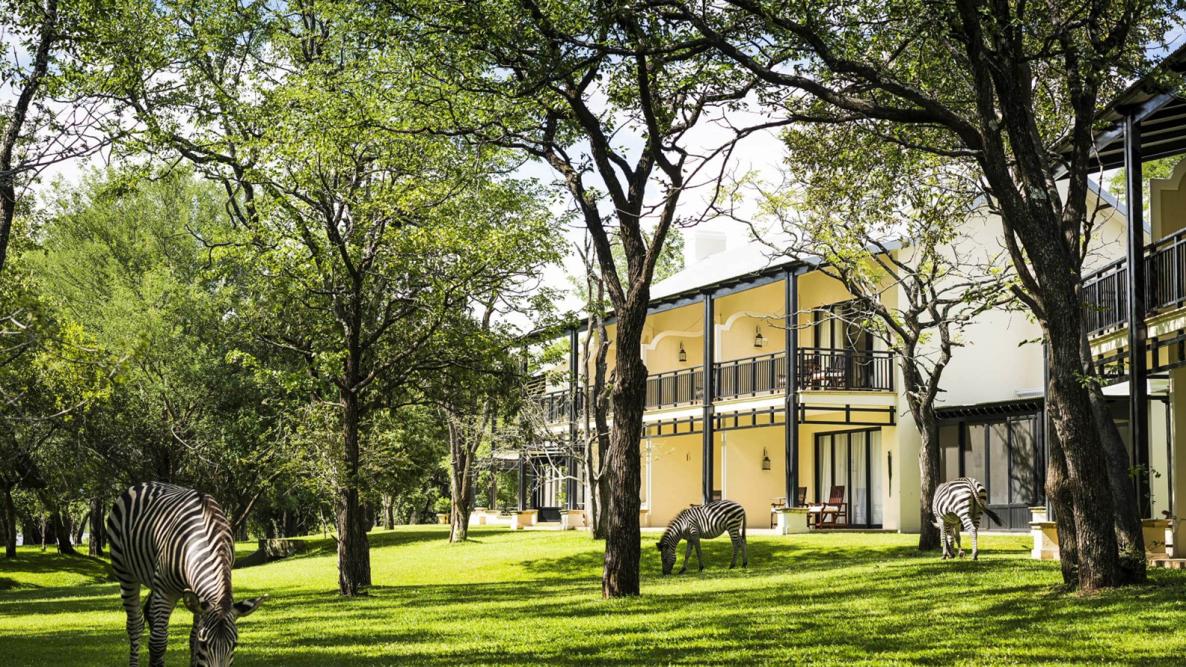 The royal livingstone hotel by anantara zebra in the gardens 2400