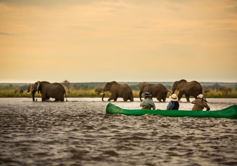 Anabezi luxury tented camp elephant viewing from a canoe 1280