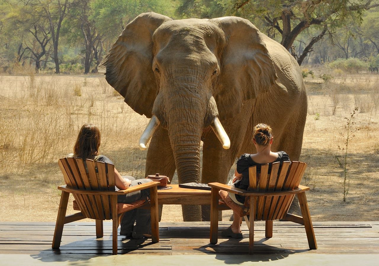 Old mondoro camp elephant sighting on the deck 1280