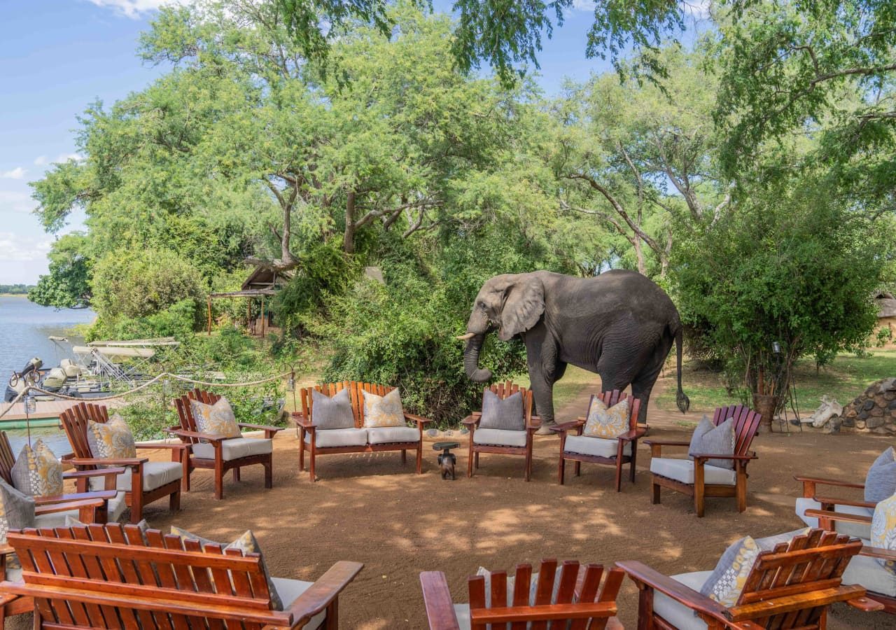 Time tide chongwe camp outdoor lounge elephant sighting 1280