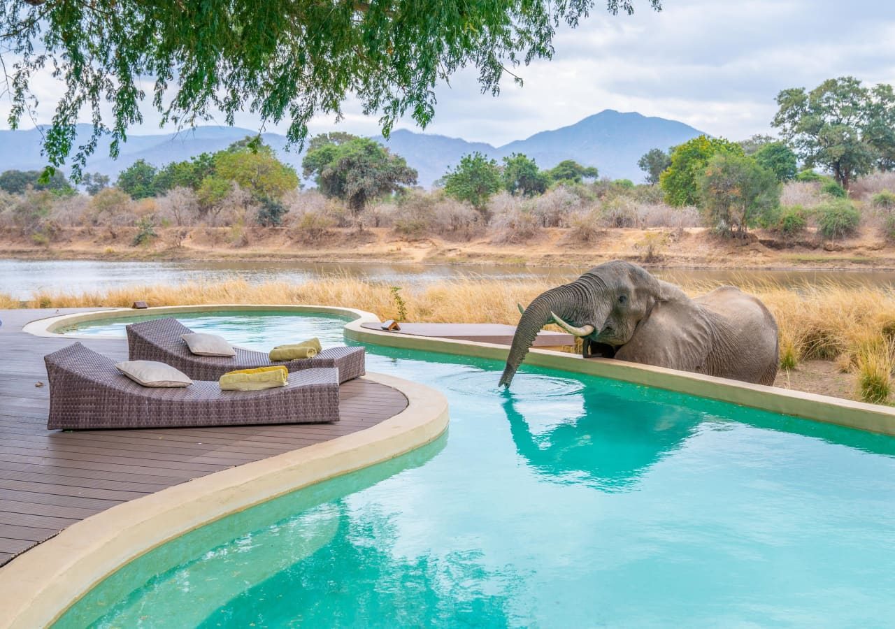 Time tide chongwe house elephant drinking from the pool 1280