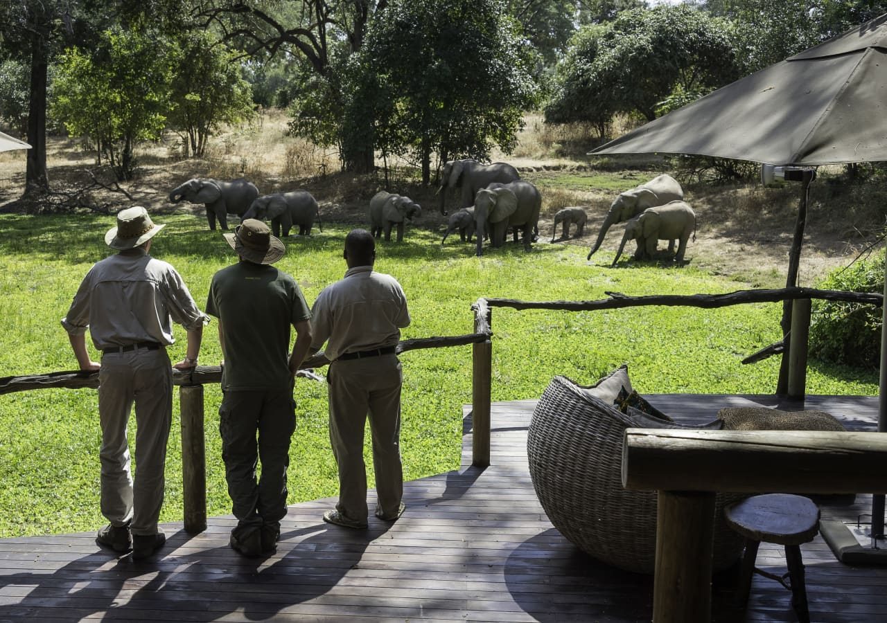 Bilimungwe bushcamp elephant viewing from the deck 1280