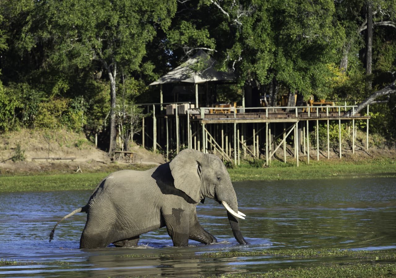 Chindeni bush camp elephant viewing from the verandah 1280