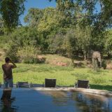 Nkwali camp elephant spotting at the pool 1280