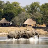Nsefu camp elephants spotted infront of the camp 1280