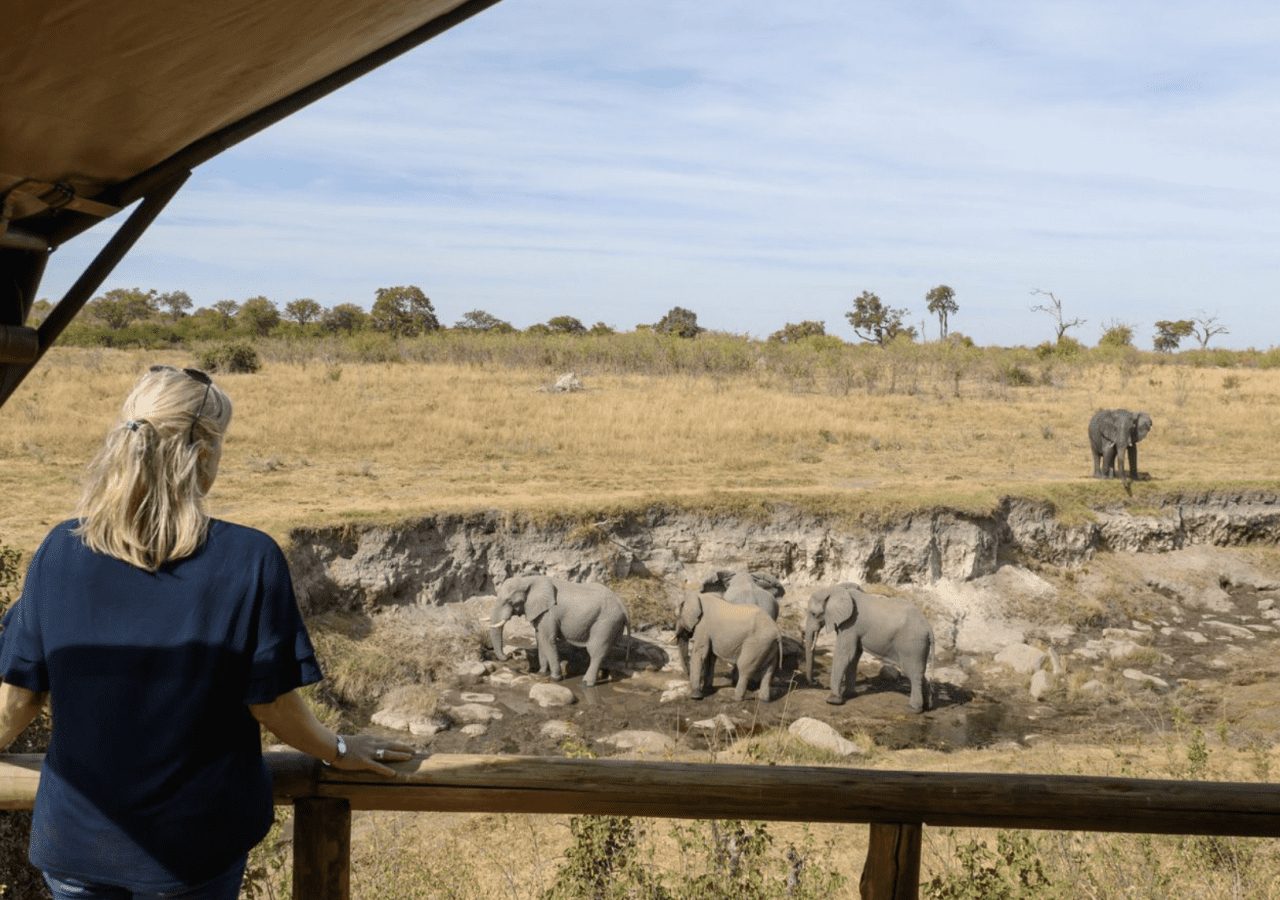 Deteema springs camp elephant sighting from the deck 1280