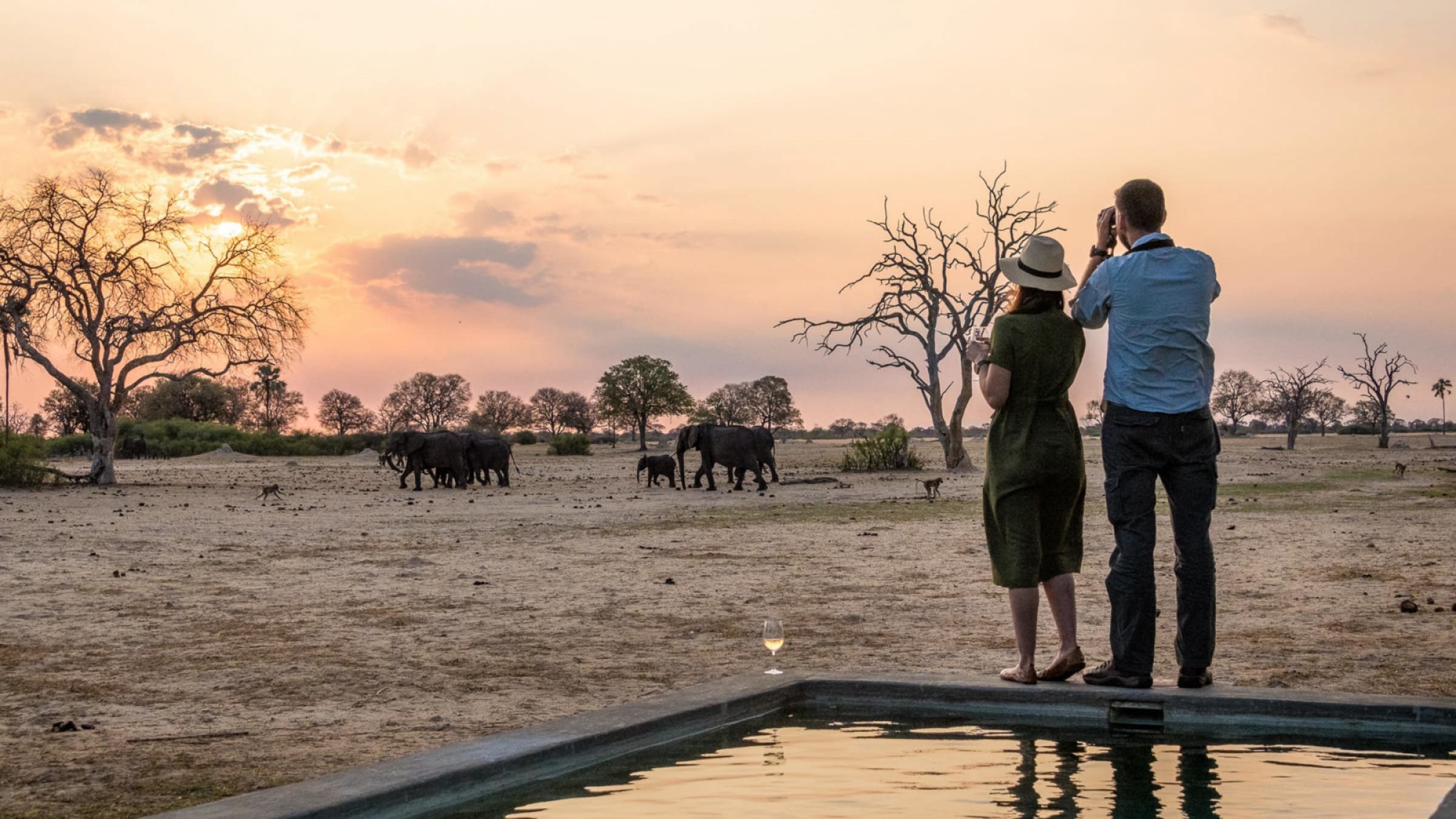 Linkwasha camp elephant sighting from the pool area 2400